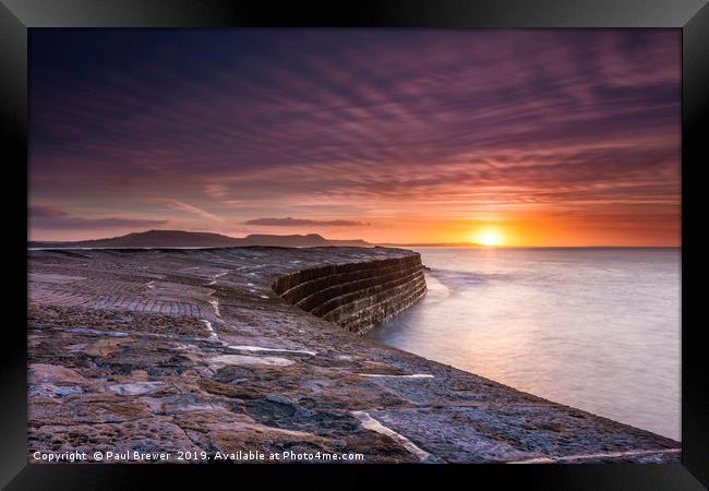 The Cobb Lyme Regis Sunrise Framed Print by Paul Brewer