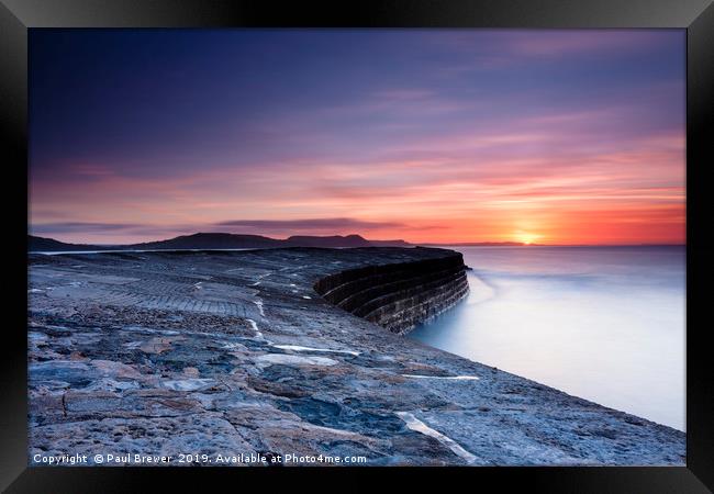 The Cobb Lyme Regis at Sunrise Framed Print by Paul Brewer