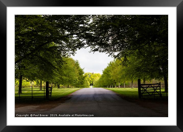 Avenue at Lamer tree Framed Mounted Print by Paul Brewer