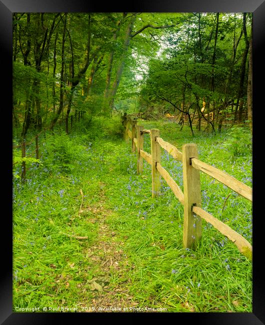 Fence Line Framed Print by Paul Brewer