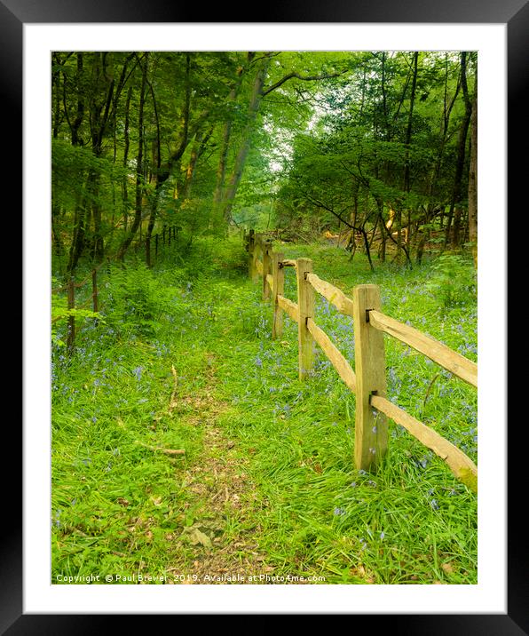 Fence Line Framed Mounted Print by Paul Brewer