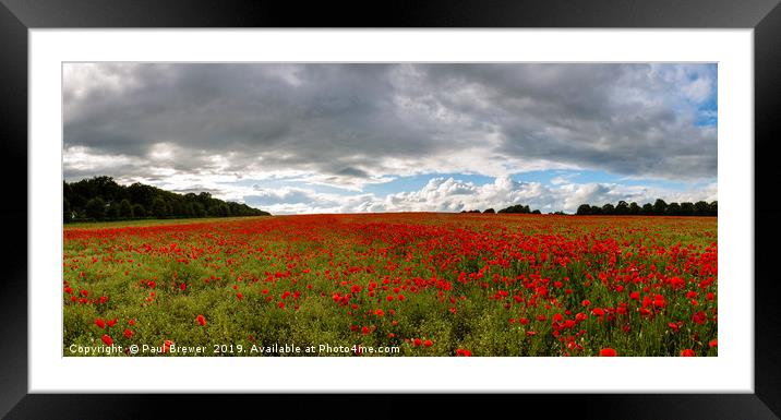 A Sea of Poppies  Framed Mounted Print by Paul Brewer