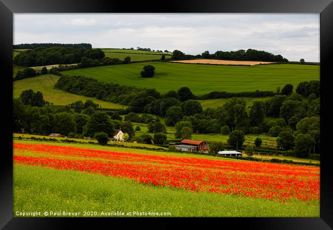 Poppies near Dorchester in June Framed Print by Paul Brewer