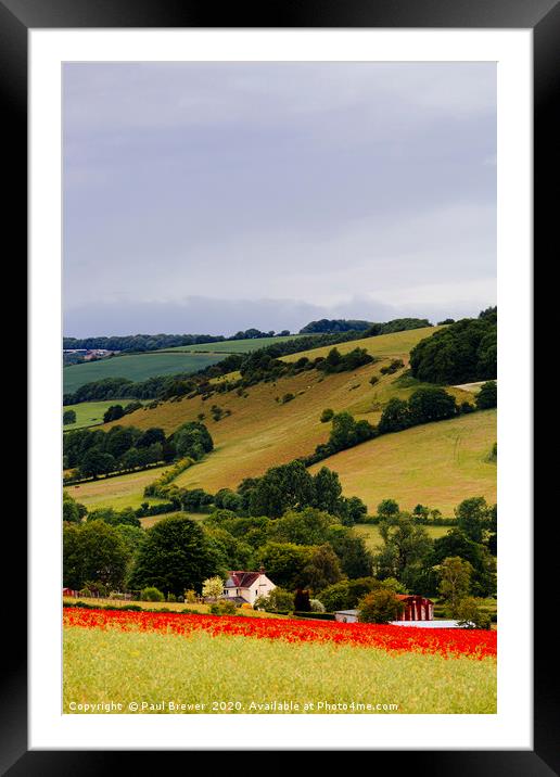 Poppies near Dorchester in June Framed Mounted Print by Paul Brewer