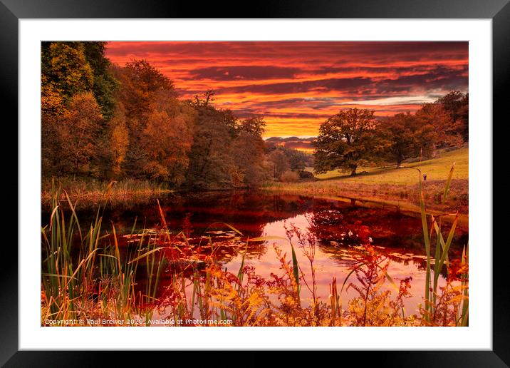 Autumn Colours Framed Mounted Print by Paul Brewer