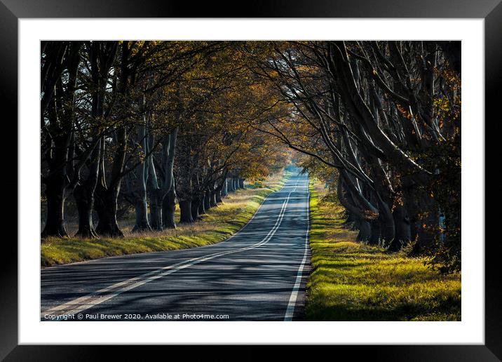 The Long Road Framed Mounted Print by Paul Brewer