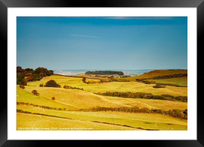 Fields of Dorset Framed Mounted Print by Paul Brewer
