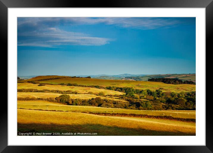 Morning in Dorset Framed Mounted Print by Paul Brewer