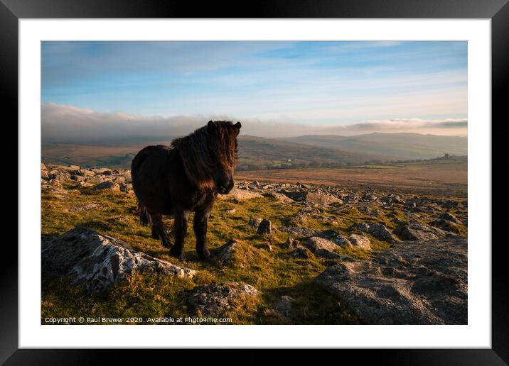 King of Dartmoor Framed Mounted Print by Paul Brewer