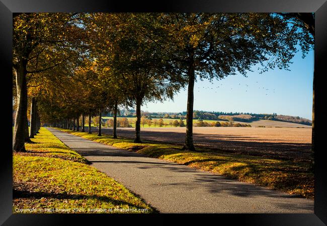 The Avenue Framed Print by Paul Brewer