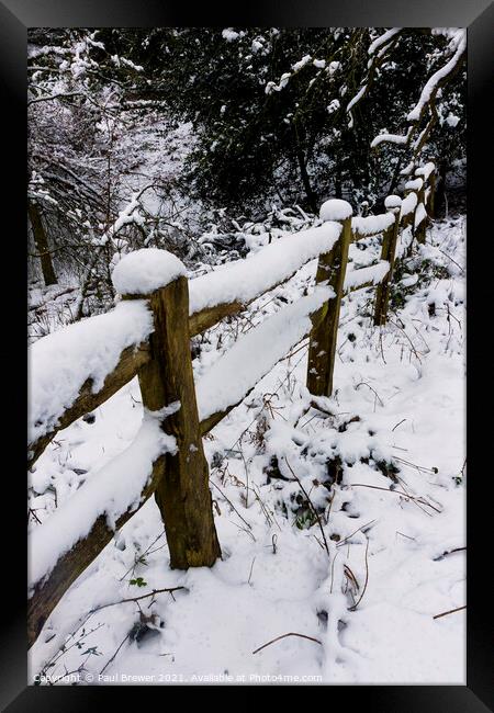 Thorncombe Woods fence line Framed Print by Paul Brewer