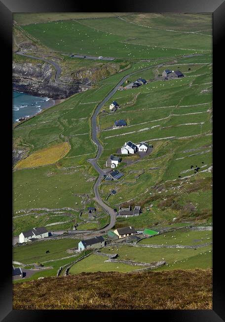 View from above Coumeenole  Framed Print by barbara walsh