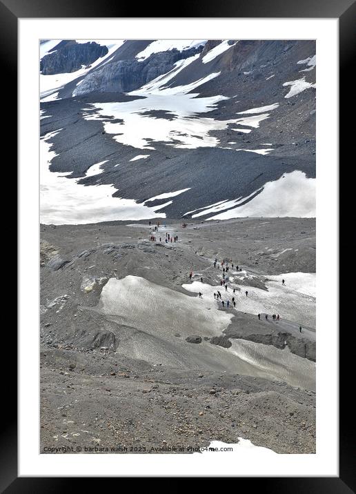 Columbia Icefield Framed Mounted Print by barbara walsh