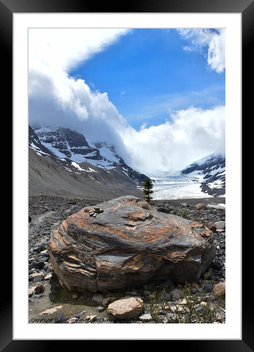 Columbia Icefield Framed Mounted Print by barbara walsh