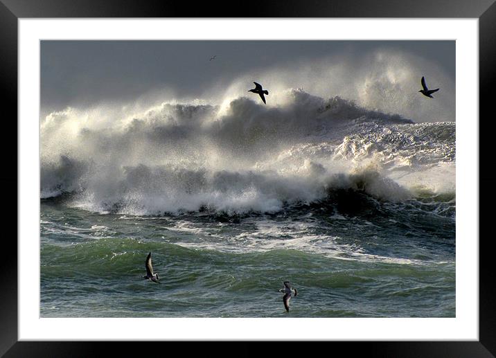 Waves on Clogher Beach Framed Mounted Print by barbara walsh