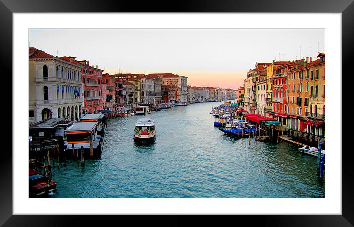 Venice Framed Mounted Print by barbara walsh