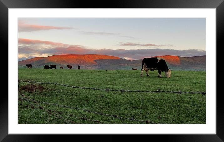 Sun is rising in Kerry Framed Mounted Print by barbara walsh