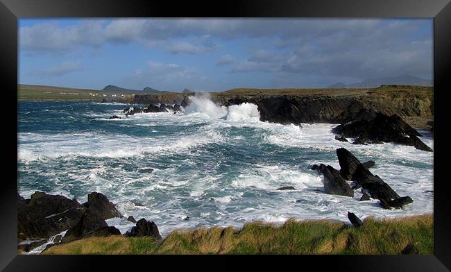 Wild Sea at Clogher Head Framed Print by barbara walsh