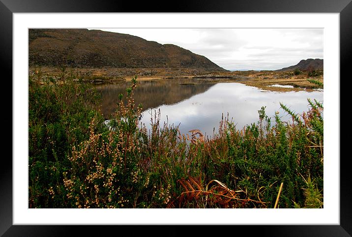 Lake in the Killarney National Park Framed Mounted Print by barbara walsh
