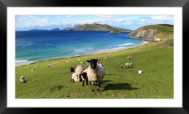 View of Blaske Islands Framed Mounted Print by barbara walsh