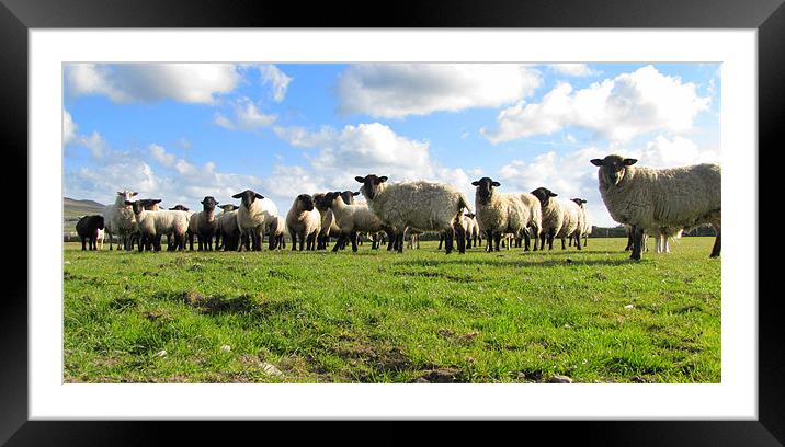 What you looking at... Framed Mounted Print by barbara walsh