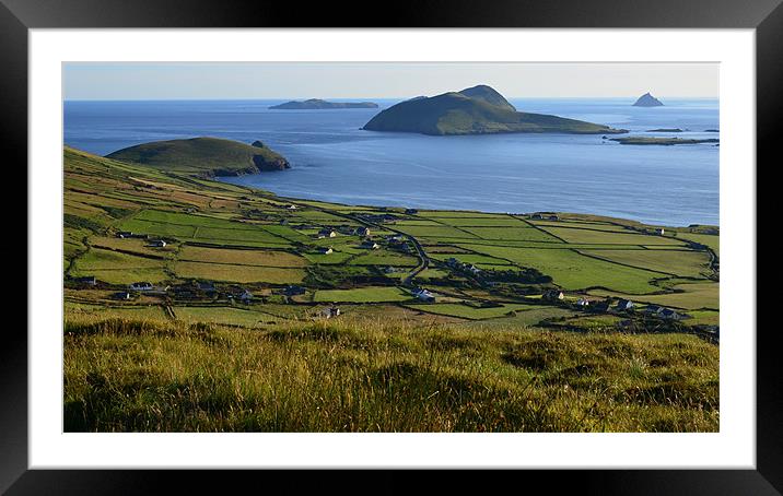 View of the Blasket Islands Framed Mounted Print by barbara walsh