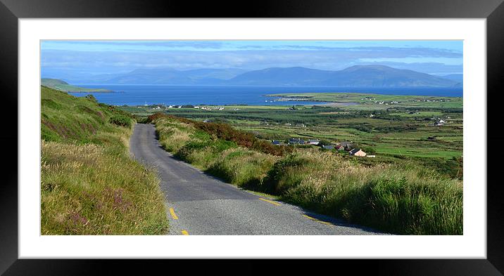 View over Ventry Bay Framed Mounted Print by barbara walsh