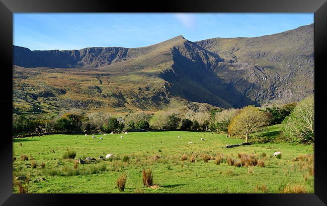 Cloghan Framed Print by barbara walsh