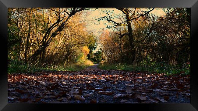 Killarney National Park Framed Print by barbara walsh