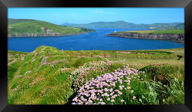 View over to Dingle Framed Print by barbara walsh
