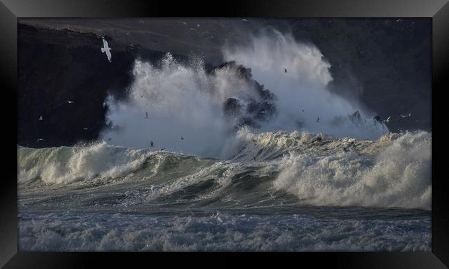 Wild day at Clogher Framed Print by barbara walsh
