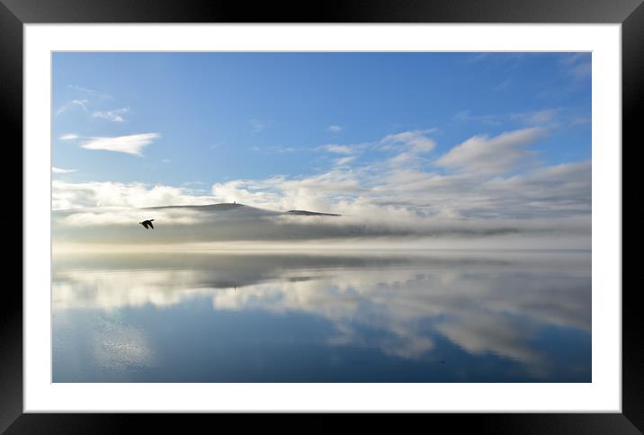 Magical morning in Dingle Framed Mounted Print by barbara walsh