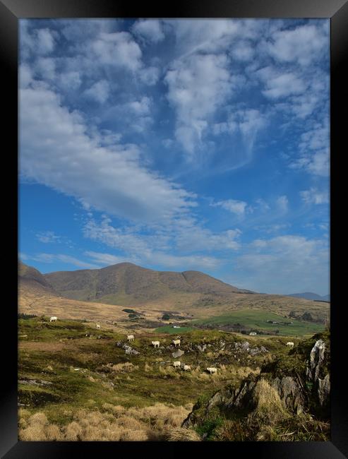 Ring of Kerry Framed Print by barbara walsh
