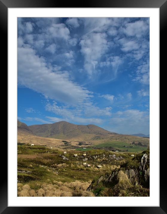 Ring of Kerry Framed Mounted Print by barbara walsh