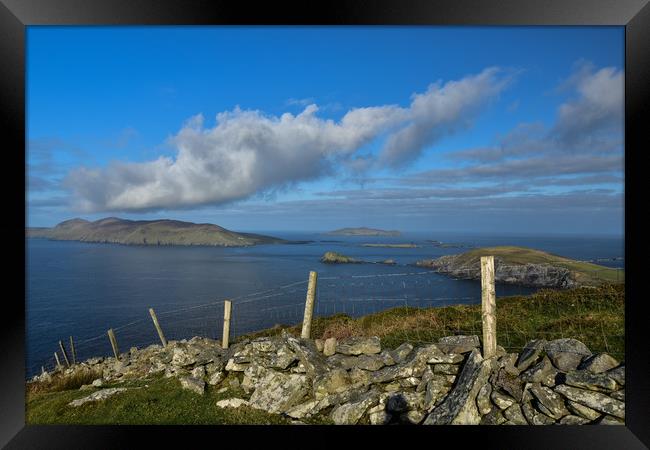 Views over to the Blasket Islands Framed Print by barbara walsh