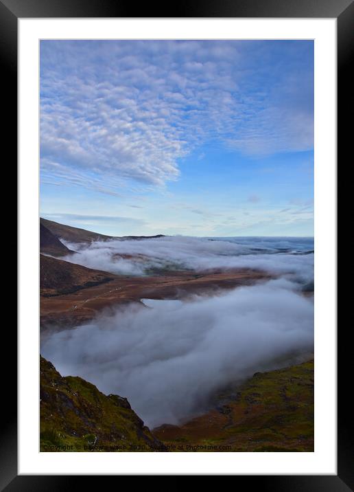 Foggy view from the Conor Pass Framed Mounted Print by barbara walsh