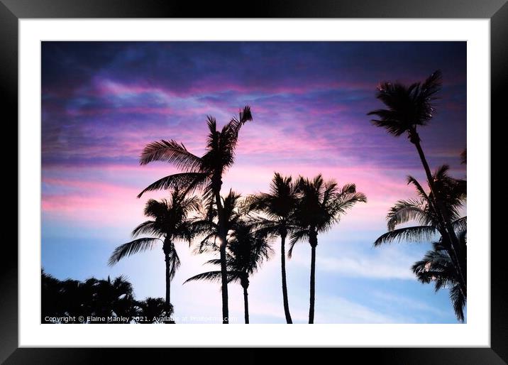 Tropical Nights  Framed Mounted Print by Elaine Manley