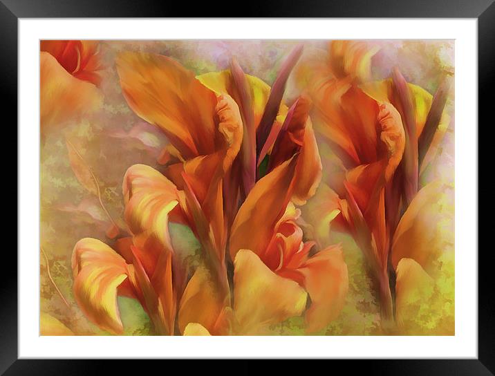 Calla Lillies flower Framed Mounted Print by Elaine Manley