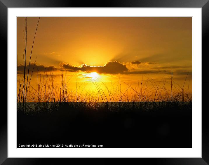 Golden Sunset Framed Mounted Print by Elaine Manley