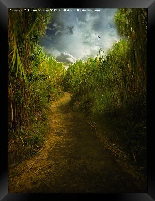 Follow the Path Framed Print by Elaine Manley