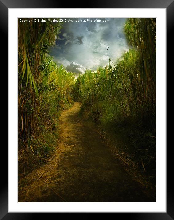Follow the Path Framed Mounted Print by Elaine Manley