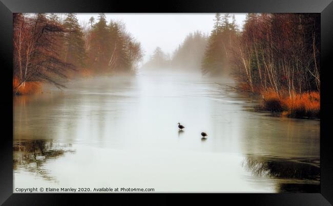 Ducks on Frozen Pond Framed Print by Elaine Manley