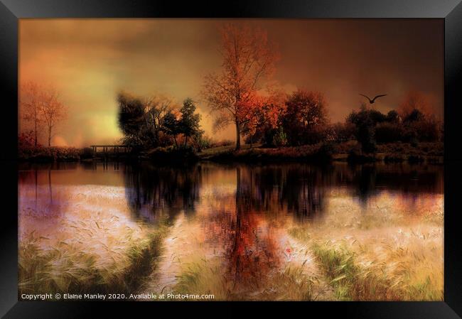Autumn Splendor 2 Framed Print by Elaine Manley