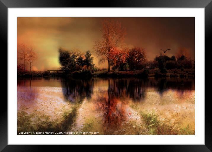 Autumn Splendor 2 Framed Mounted Print by Elaine Manley