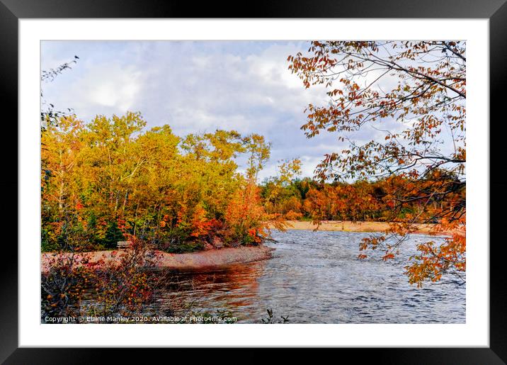 Autumn River Framed Mounted Print by Elaine Manley