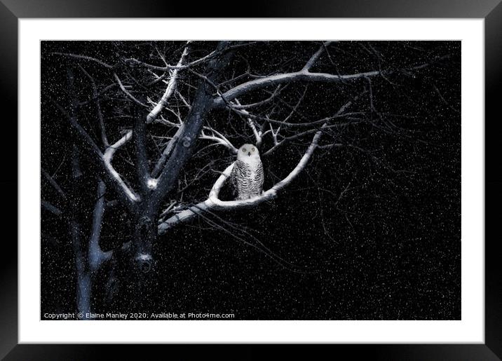Alone on a Cold Winters Night Framed Mounted Print by Elaine Manley