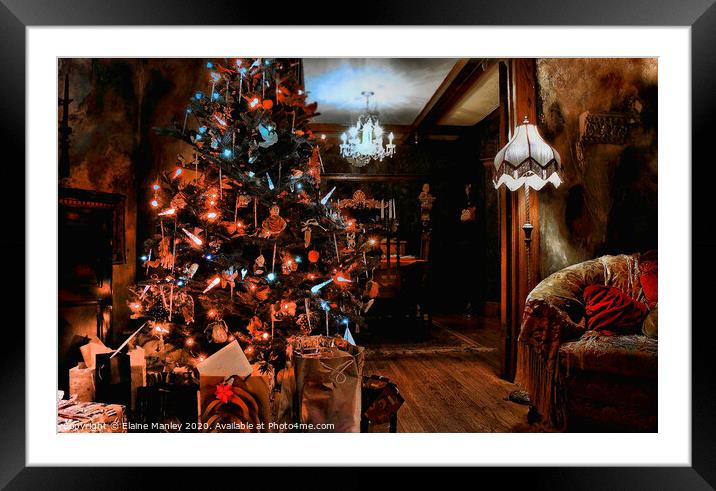Christmas Tree misc  Framed Mounted Print by Elaine Manley