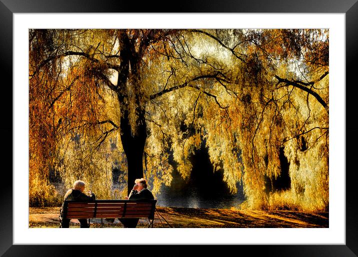 Golden Moments Framed Mounted Print by Elaine Manley
