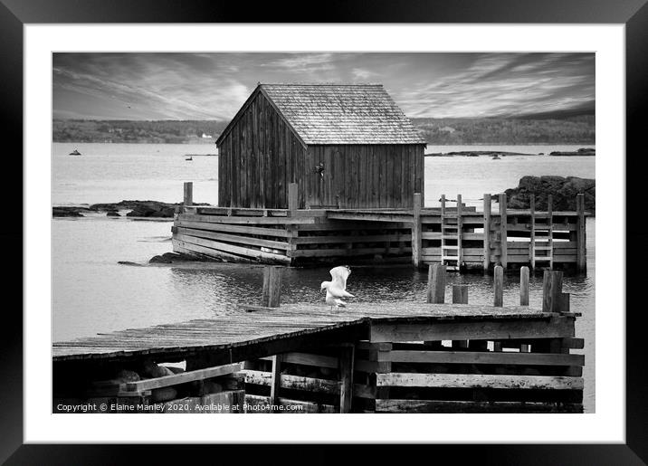 Old Fishing Hut   Atlantic Ocean Canada  Framed Mounted Print by Elaine Manley