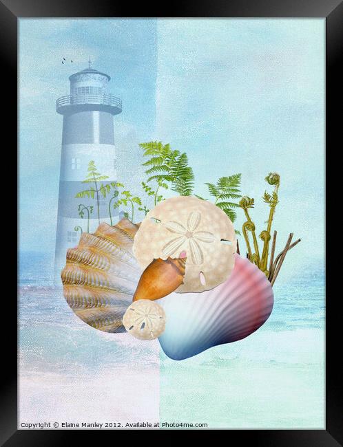 A Day at the Seashore Framed Print by Elaine Manley